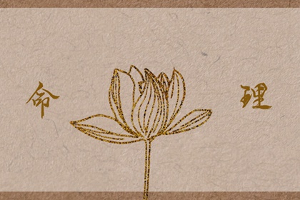 择吉黄历_择吉日大全_择吉皇历